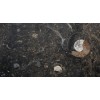 Dark Fossil Brown Marble Tile