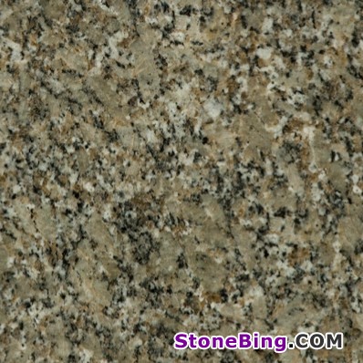 Pine Green Granite Tile
