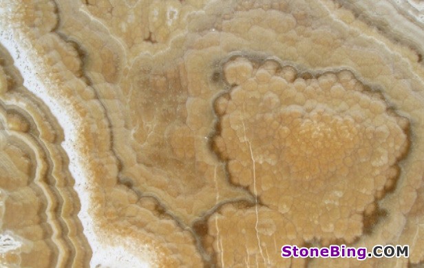 Bengal Onyx Tile
