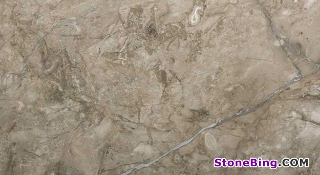 Grigio Biliemi Marble Tile