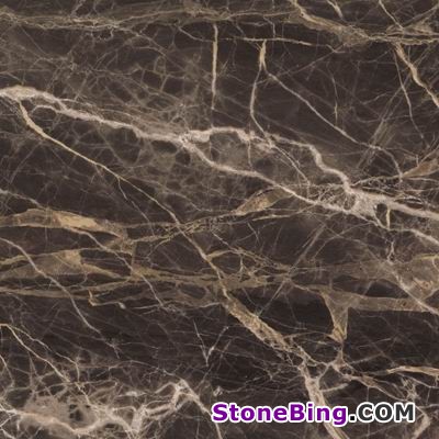 Breccia Paradiso Marble Tile