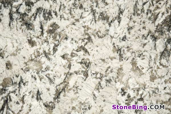 Bianco Antico Granite Tile
