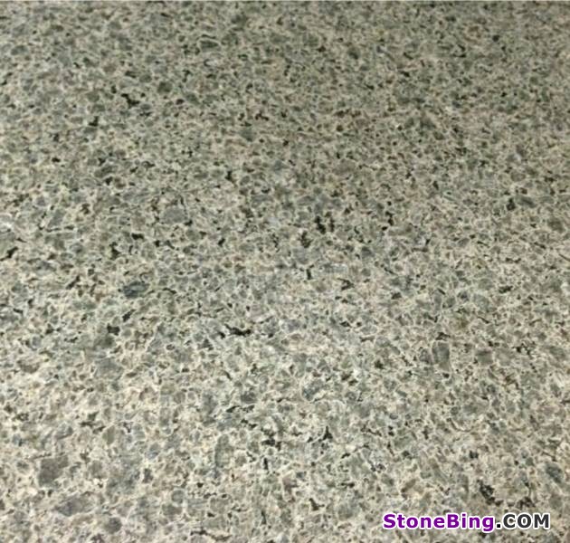 Brazillian Tree Granite Tile