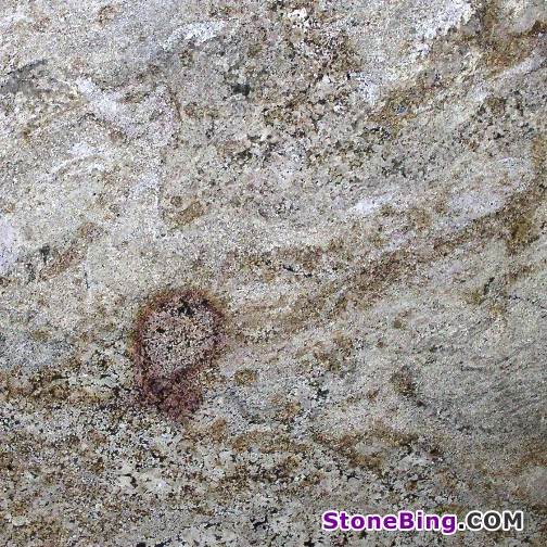 African Ivory Granite Tile
