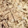 Golden Persa Granite Tile