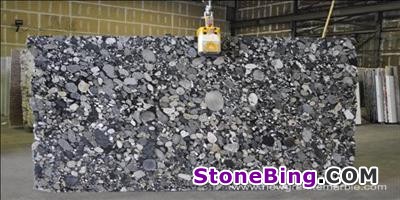 Black Marinace Granite Slab