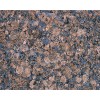 Amazon Blue Granite Tile