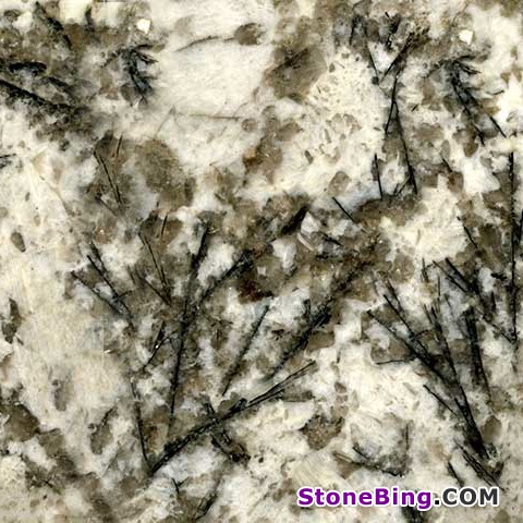 Bianco Argento Granite Tile