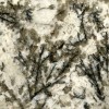 Bianco Argento Granite Tile