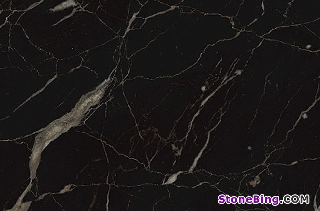Noir Saint Laurent Marble Tile