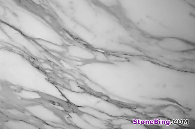 Calcatta Borghini Marble Tile