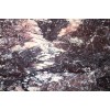 Breccia Medici Marble Tile