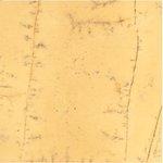 Amarillo Triana Marble Tile
