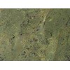 Bamboo Green Granite Tile