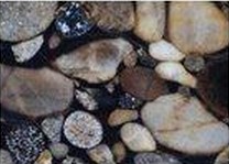 Black Morgan Granite Tile
