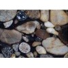 Black Morgan Granite Tile