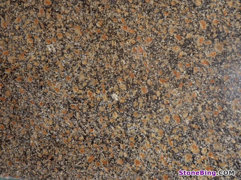 Cheetah Granite Slab