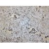 Dunas White Granite Slab