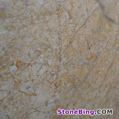 Camel Yellow Marble Tile