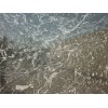 Silver Paradiso Granite Slab