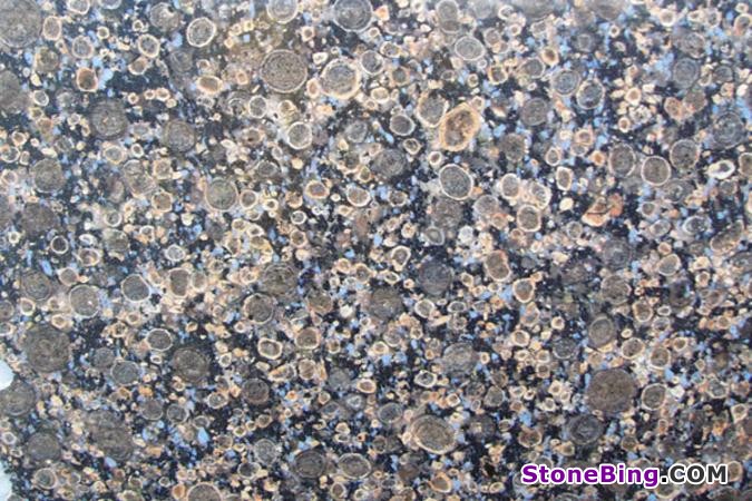 Oceanic Blue Granite Slab