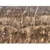 Marion Emperador Dark Marble Tile