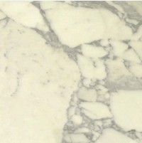 Arabascato Carrara Marble Tile