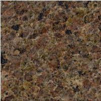 Castor Brown Granite Tile