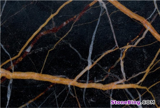 Black & Gold Marble Tile