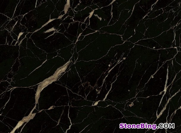 Noir St Laurent Marble Tile
