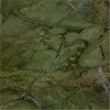 Fantastic Green Granite Tile