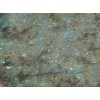Blue Australe Granite Tile