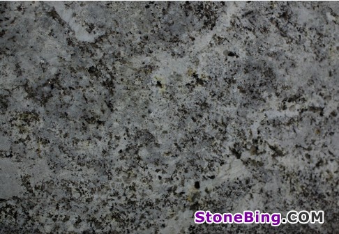 Bianco Alaska Granite Tile