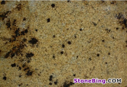 Birch Frost Granite Tile