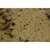Birch Frost Granite Tile