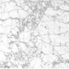 Blanco Venato Marble Tile