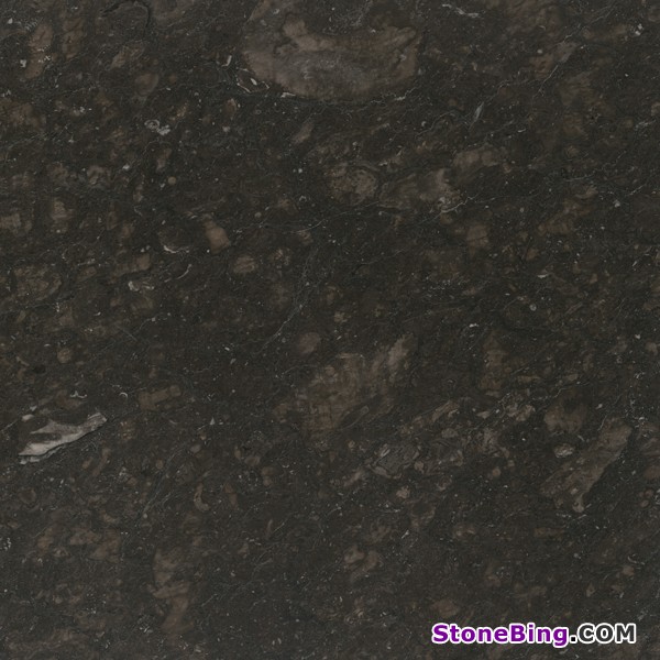 Grey Paloma Marble Tile