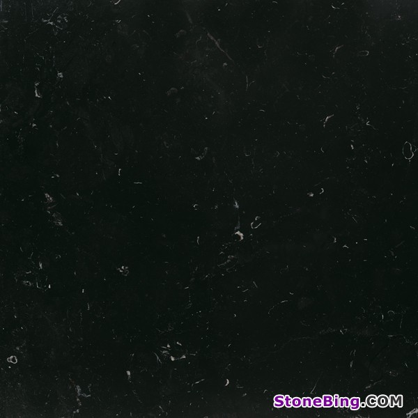Black Marquina Marble Tile