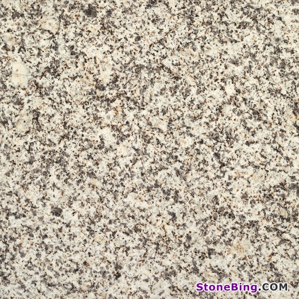 Albero Granite Tile