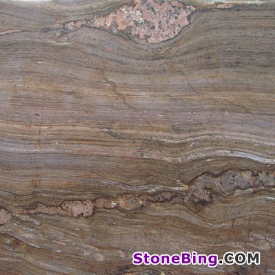 Petrified Wood Granite Tile