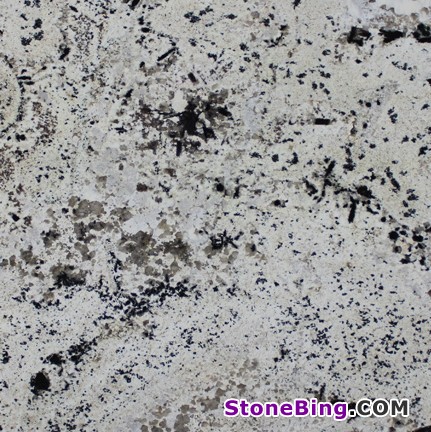 Splender White Granite Tile