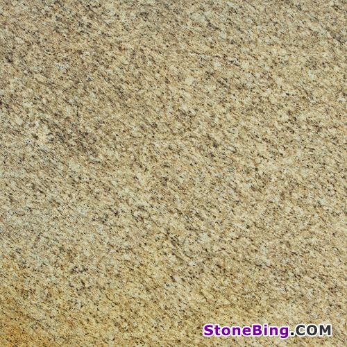 Giallo Ornamental Granite Tile