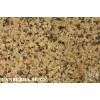 Canberra Beige Granite Tile