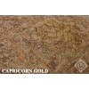Capricorn Gold Granite Tile
