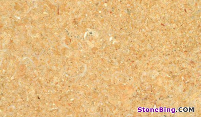 Fossile Giallo Marble Tile