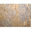 Juperana Fantastico Granite Tile