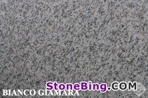 Bianco Giamara Granite Tile