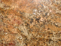 Crema Bordeaux Granite Tile