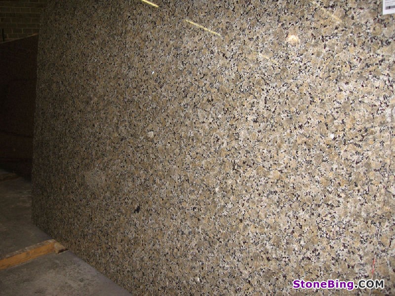 Butterfly Beige Granite Slab