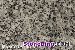 Bianco Ostrica Granite Tile